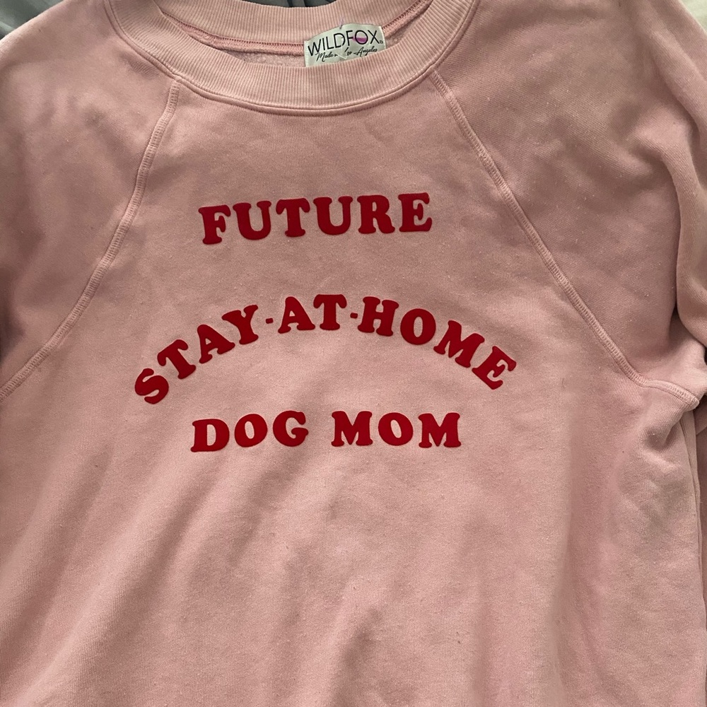 Wild fox “future stay at home dog mom”